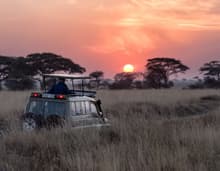 Africa
